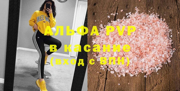 индика Пестово