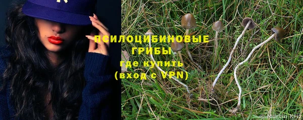 Альфа ПВП Пересвет