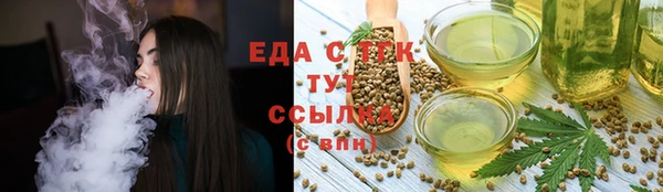 индика Пестово