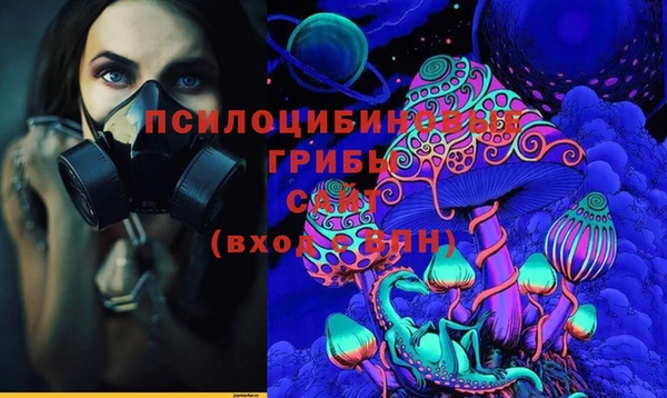 прущая мука Дубна