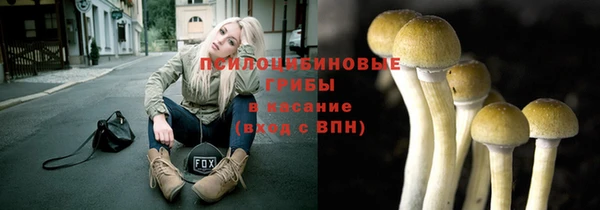 Альфа ПВП Пересвет