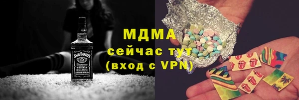 индика Пестово