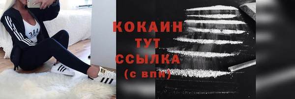 индика Пестово