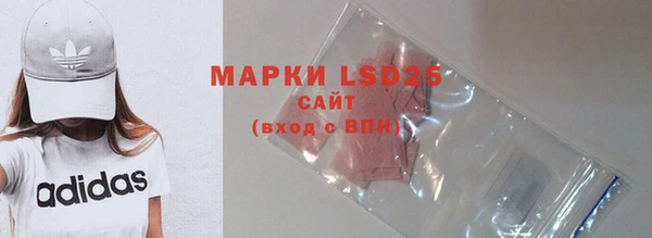 индика Пестово