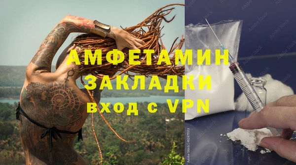 индика Пестово