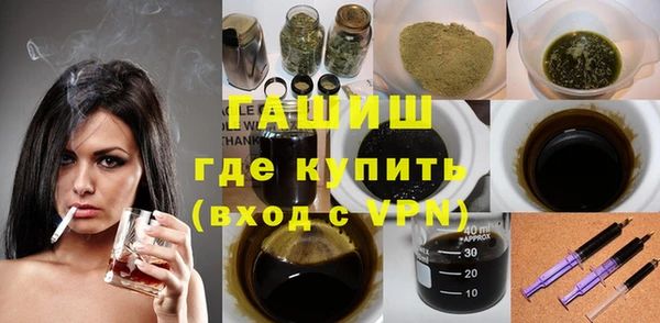 индика Пестово