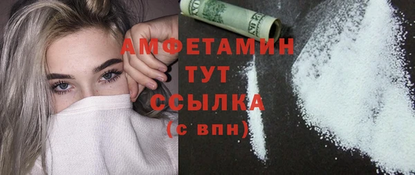 Альфа ПВП Пересвет