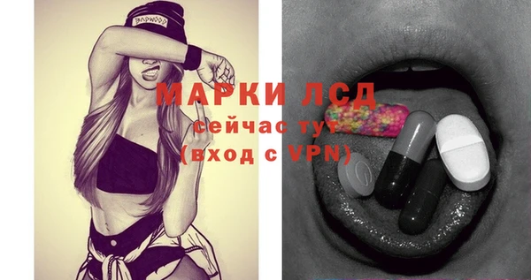 индика Пестово