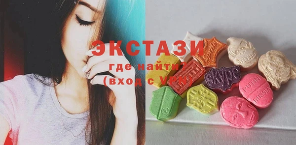 индика Пестово