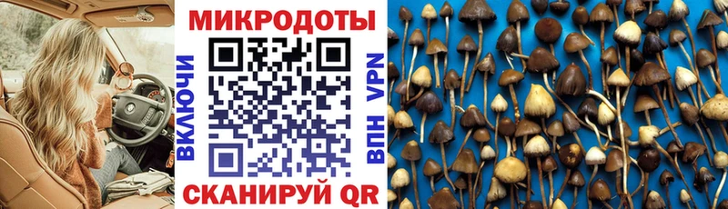 наркошоп  мега зеркало  Псилоцибиновые грибы GOLDEN TEACHER  Анадырь 