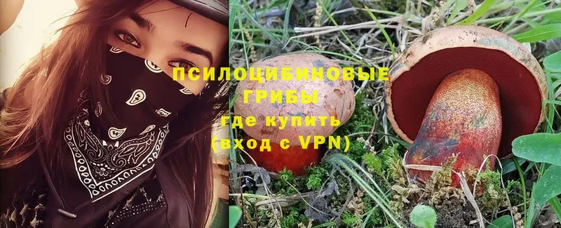 гидра сайт  Анадырь  Псилоцибиновые грибы Psilocybe 